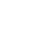 white leaf icon