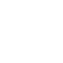 White Pig 2 Icon Free White Animal Icons