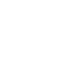 white police icon