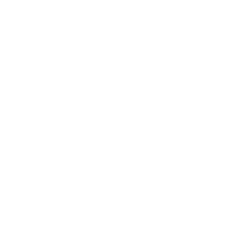 pretzel icon