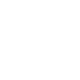 snowflake 13 icon