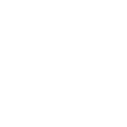 snowflake 50 icon