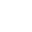 white turtle icon