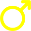 yellow male 3 icon