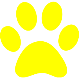 paw icon