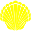 yellow seashell 2 icon