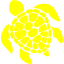 yellow turtle icon